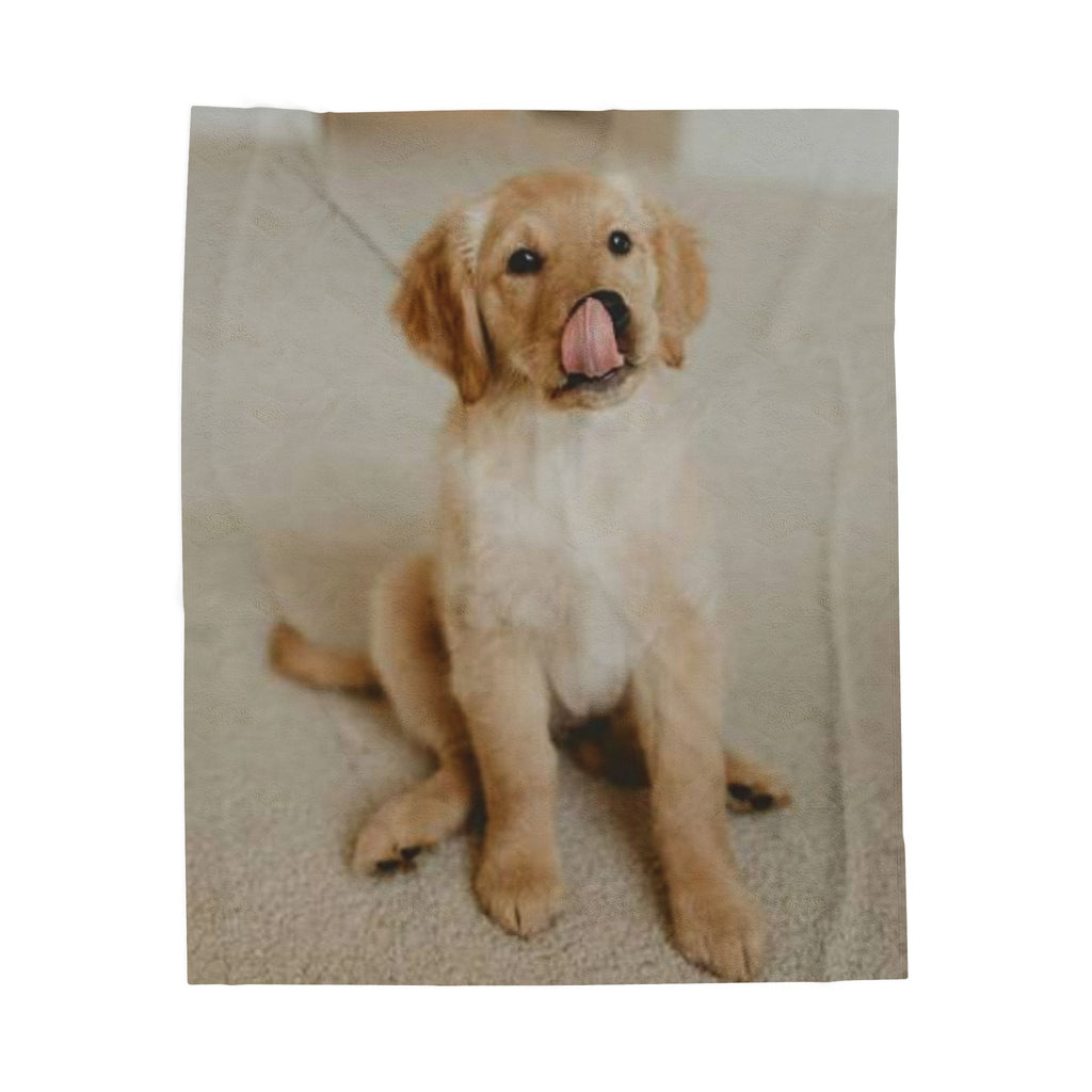 Velveteen Plush Blanket – Cute Golden Retriever Puppy Photo Throw