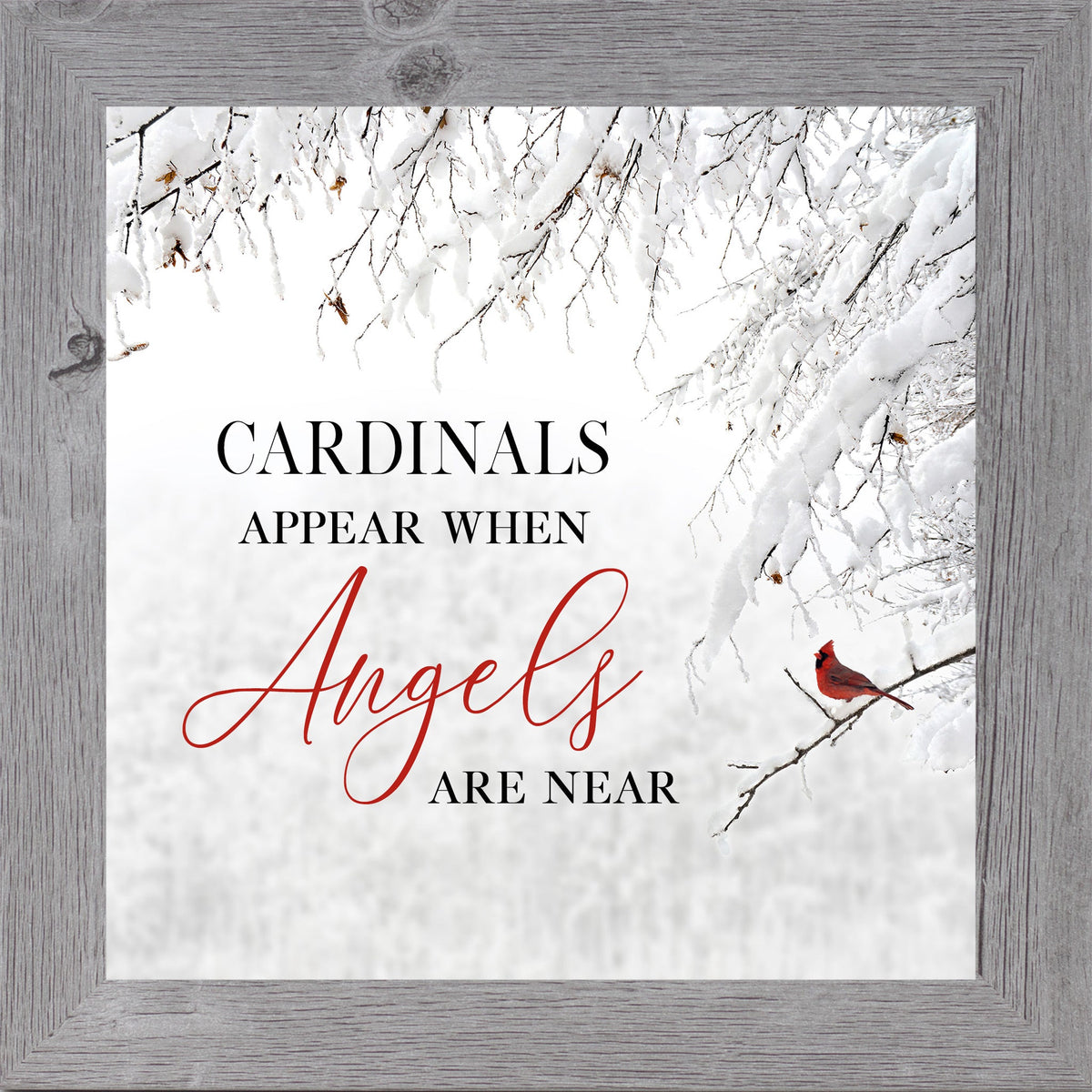 Cardinals Appear When Angels Are Near Wall Art
