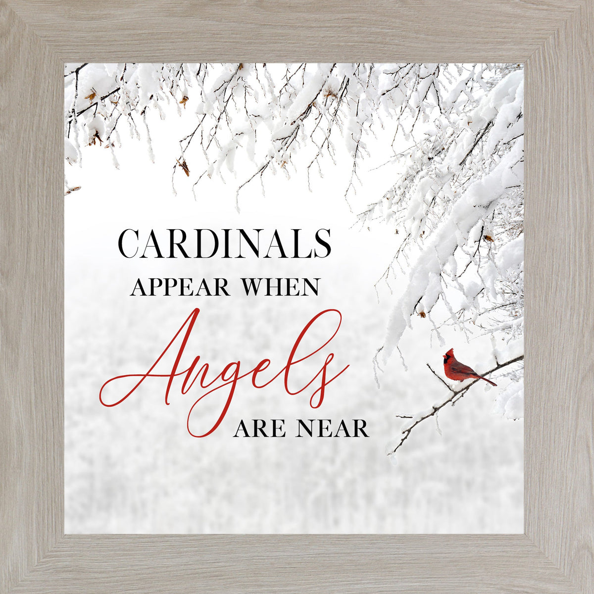 Cardinals Appear When Angels Are Near Wall Art